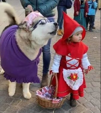 La piccola Agata e il suo cane Yanuk: le più belle maschere di Carnevale!