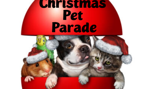 Christmas Pet Parade 2024